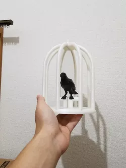 are you sure its a crow