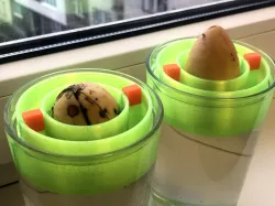 Avocado seed floater