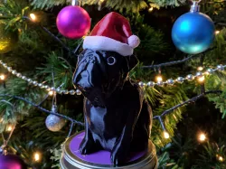 Buddy Santa Muti Material