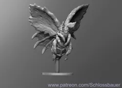 Cadaver Moth