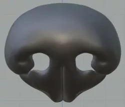 Dog Nose