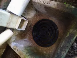 Drain Cover