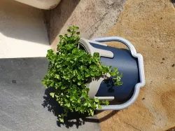 Drippy Bucket Planter Insert