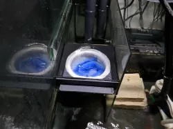 Filter Floss Cup (Red Sea)