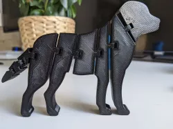 Flexi Labrador