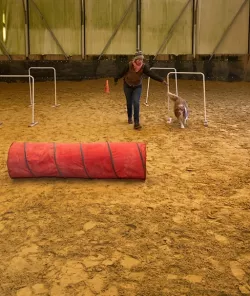 Halter für "Hoopers-Tore"