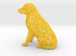 Labrador