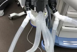 LRTee: Last Resort 22mm Ventilator Tubing Splitter