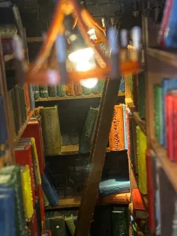 Miniature Library Book Ladder
