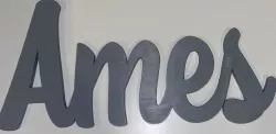Name Plate - Ames