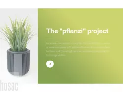 pflanzi