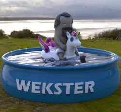 #PoolBoyWekster Mini