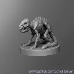Rat Skeleton