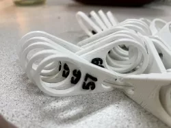 Ring sizer