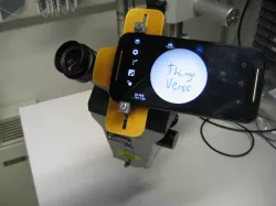 Rudimentary phone / microscope ocular adapter (31-34mm OD)
