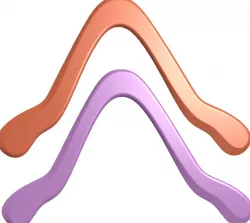 Skippy Vee Boomerang in Onshape