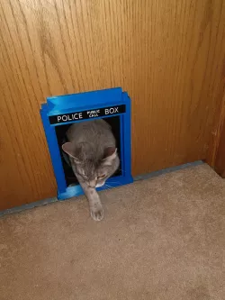 Tardis Cat Door - Tardic Portal