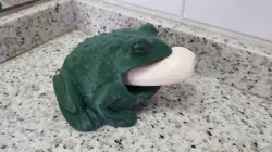 Toad soap holder