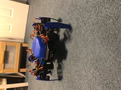 3D Printed Hexapod