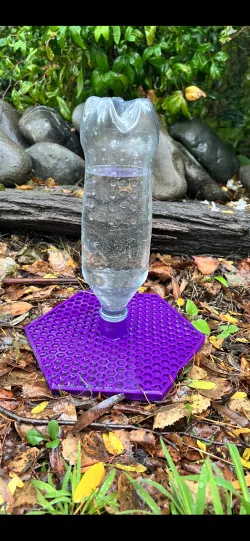 Awesome Bee Feeder!
