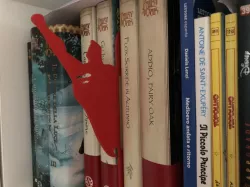 Book divider / separator