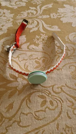 Cat Collar Trackr Pixel Case