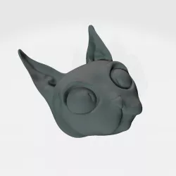 Cat head