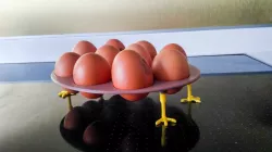 Design Egg stand storage system Chicken, Snake or whatever :)
