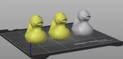 Duck Duck Gray Duck