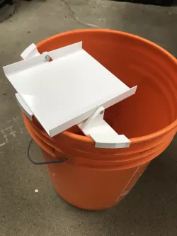 Flapper Mouse Trap