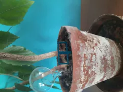 Flower pot ornament