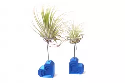 Heart Air Plant Stand (Tillandsia Holder)