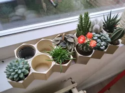 Hexagon Small Cactus Planter