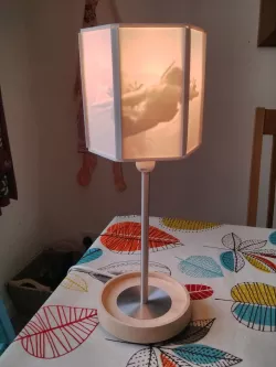 Lithophane Lampshade