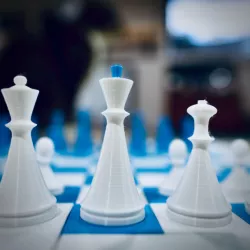 Magnetic Chess Pieces w/ Board
