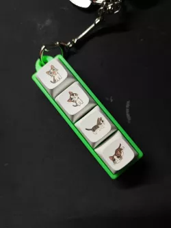 Mech Keyboard Switch Keychain