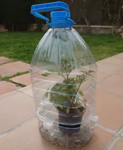 Mini Greenhouse