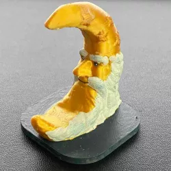 Moon Meeple for Nova Luna