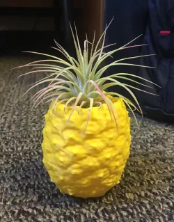 Pineapple Pot or Pen/Pencil/Item Holder