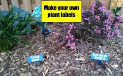 Plant label