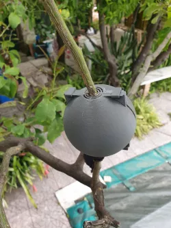 Plant Rooting Ball
