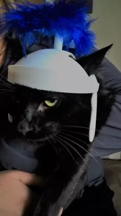 roman cat helmet