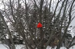 Round Birdhouse with Perch