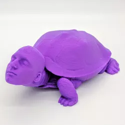 Saul Testudo