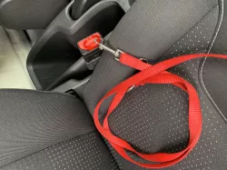 Seat belt car for dog-cat-bags