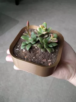 Simple and Small