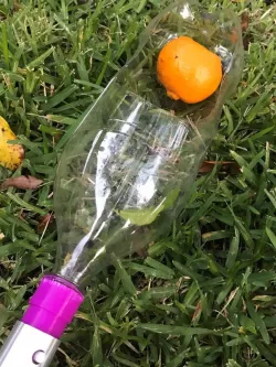 Simple Fruit Picker