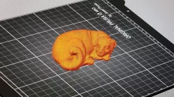 sleepingdog