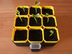 Small Self-Watering Seed Starter