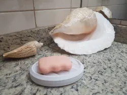 Soap Dishes